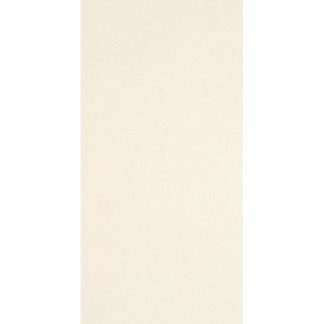 1571NG10 (30x60 cm)