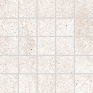 2013ST10 (7x7 cm)