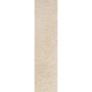 2352ZM10 (15x60 cm)