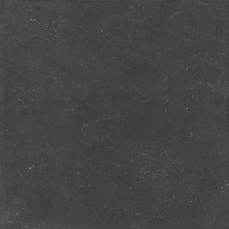 LI9L